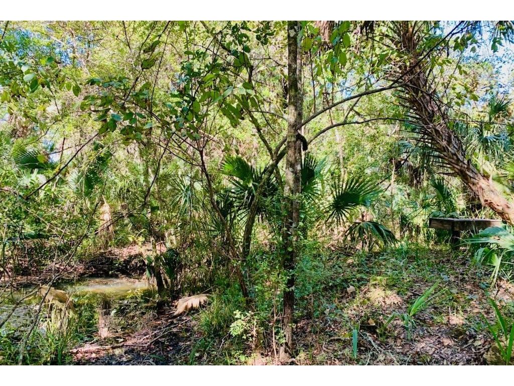 9302 W Tall Pines Court Crystal River FL 34428 W7887073 image4