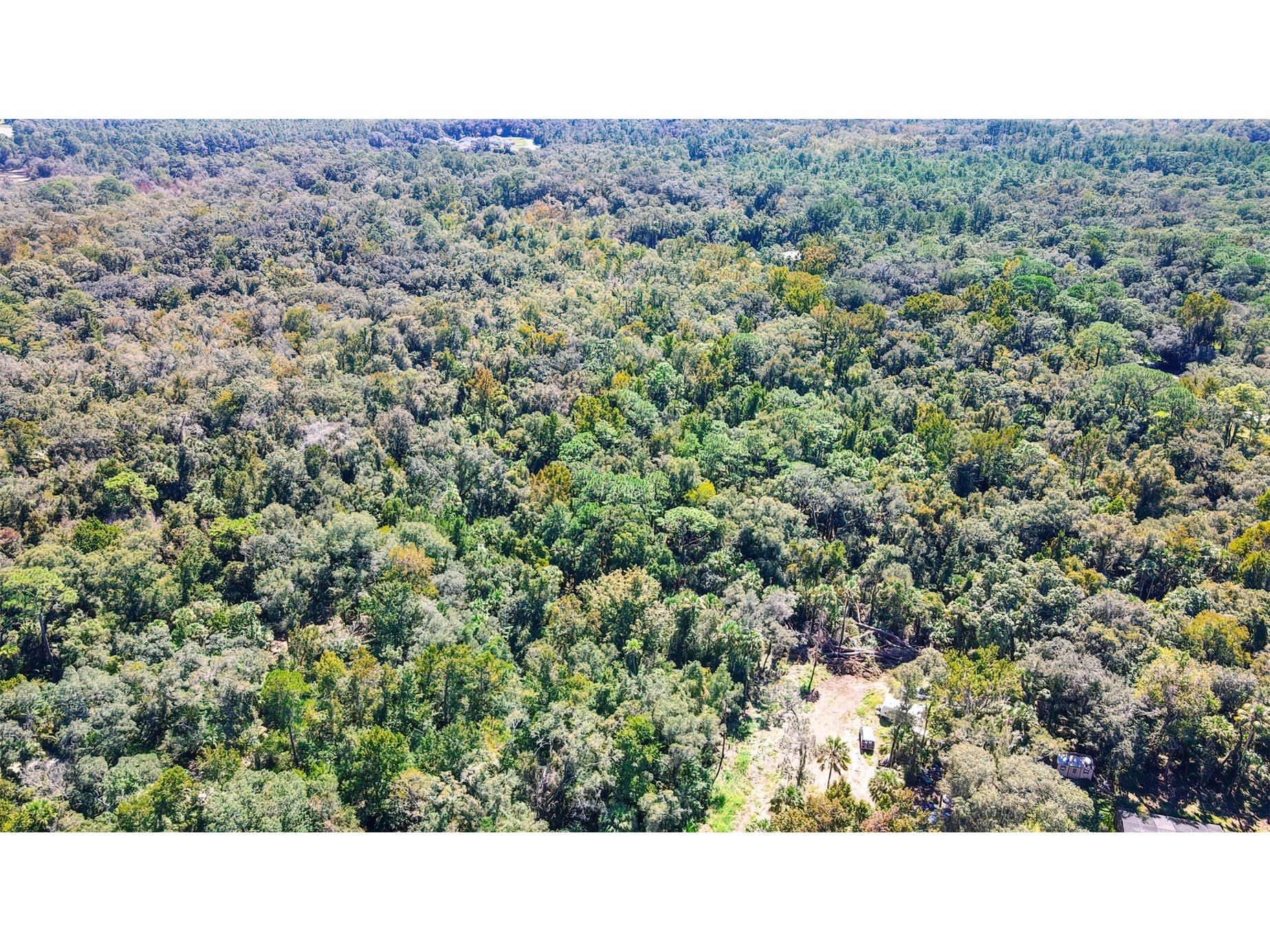 9302 W Tall Pines Court Crystal River FL 34428 W7887073 image6