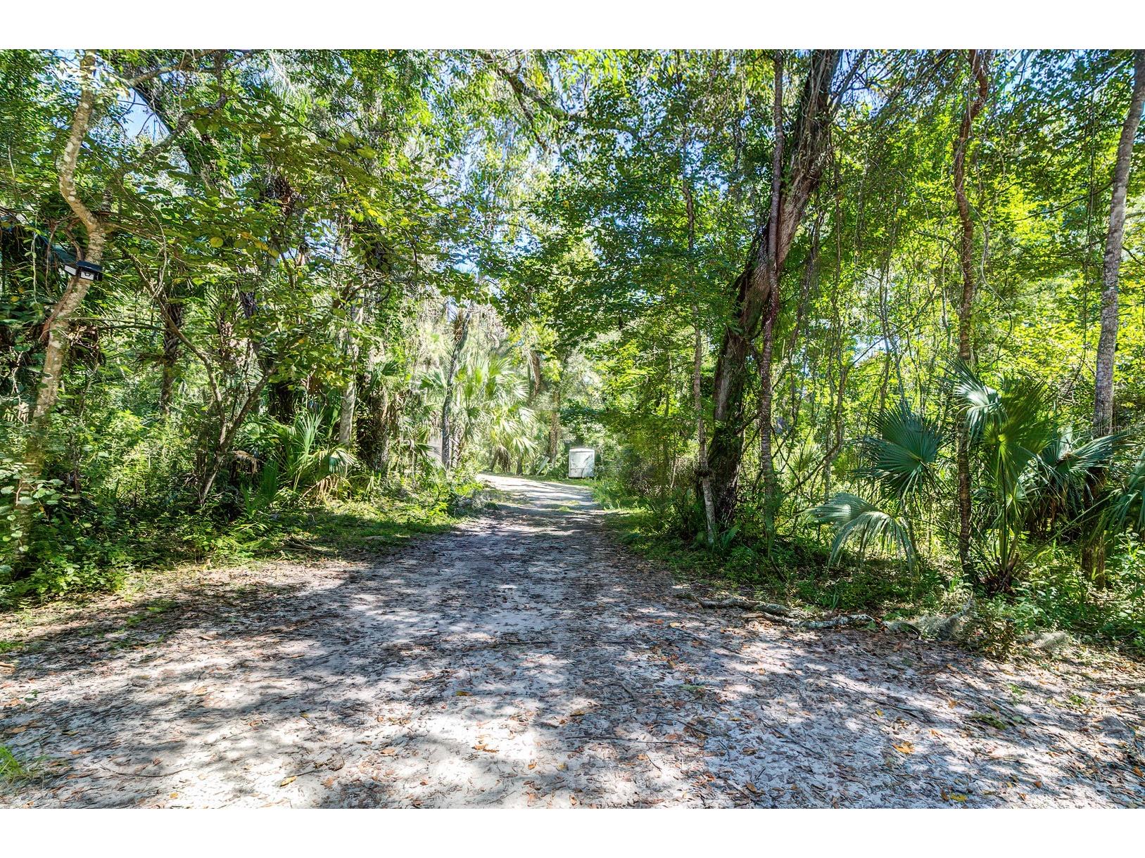 9302 W Tall Pines Court Crystal River FL 34428 W7887073 image7