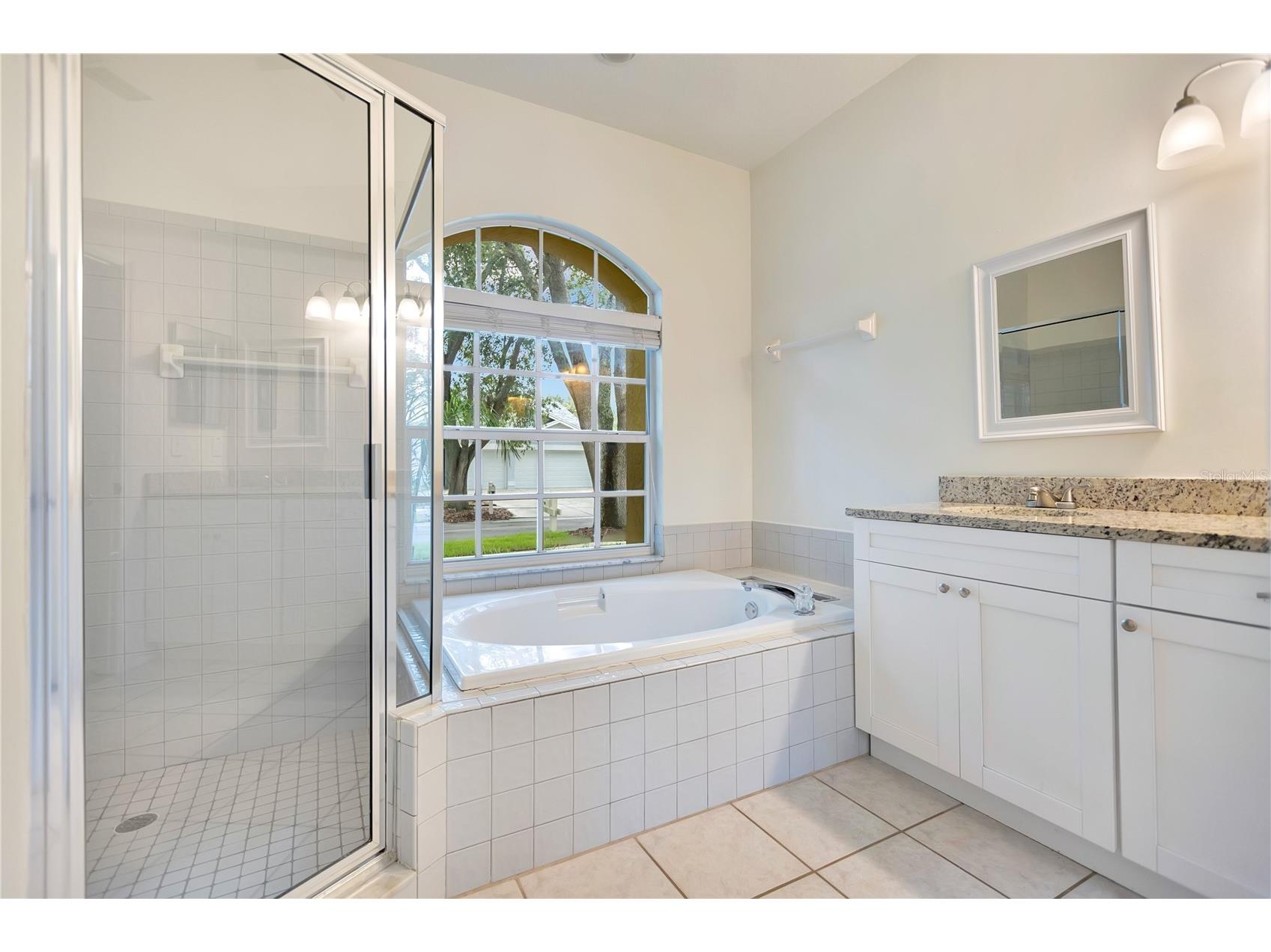 9303 Heritage Oak Court Tampa FL 33647 O6422823 image17