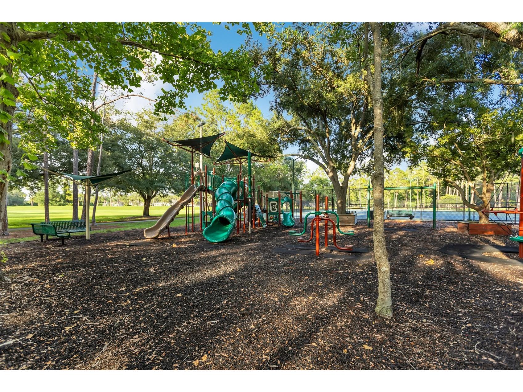 9303 Heritage Oak Court Tampa FL 33647 O6422823 image32