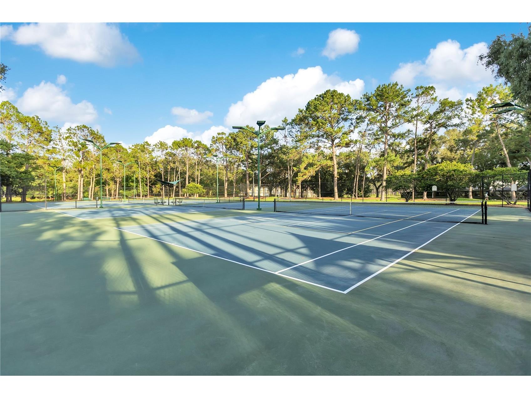 9303 Heritage Oak Court Tampa FL 33647 O6422823 image33