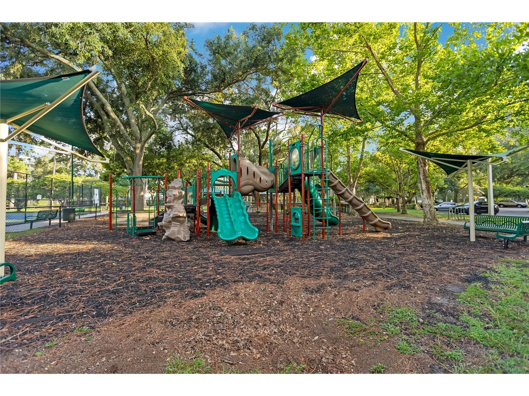 9303 Heritage Oak Court Tampa FL 33647 O6422823 image34