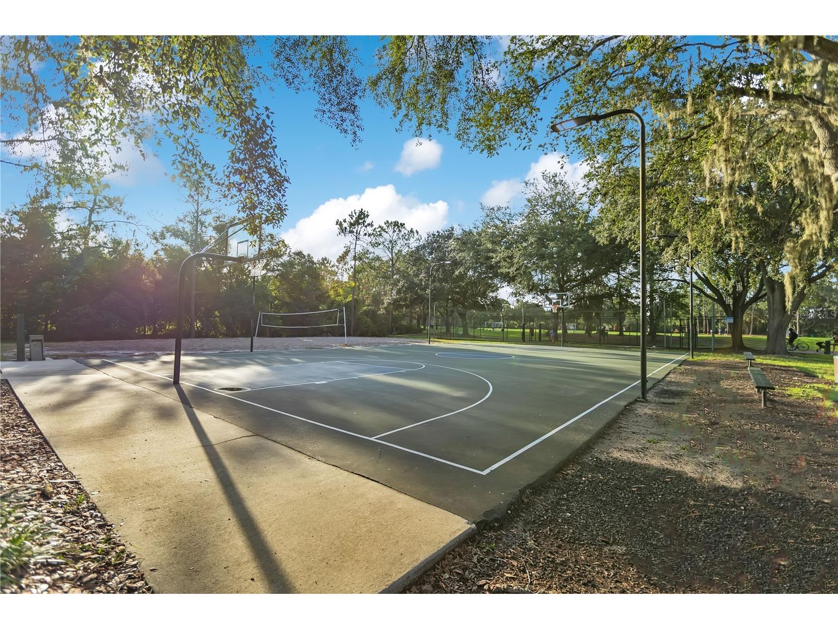 9303 Heritage Oak Court Tampa FL 33647 O6422823 image35