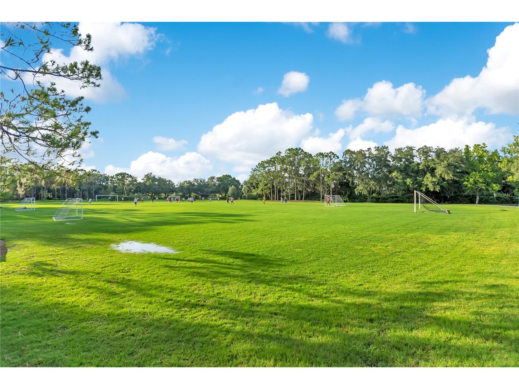 9303 Heritage Oak Court Tampa FL 33647 O6422823 image36