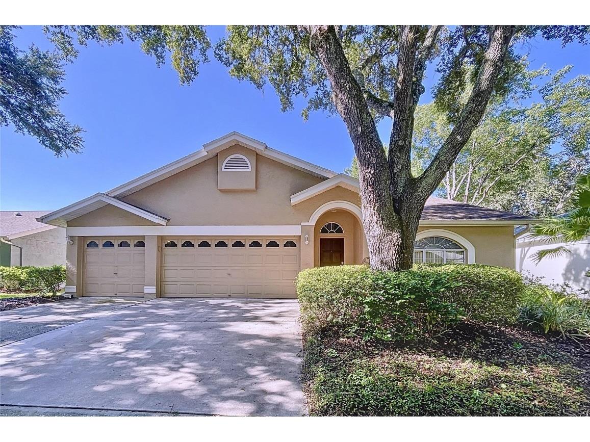9303 Knightsbridge Court Tampa FL 33647 T3541852 image1