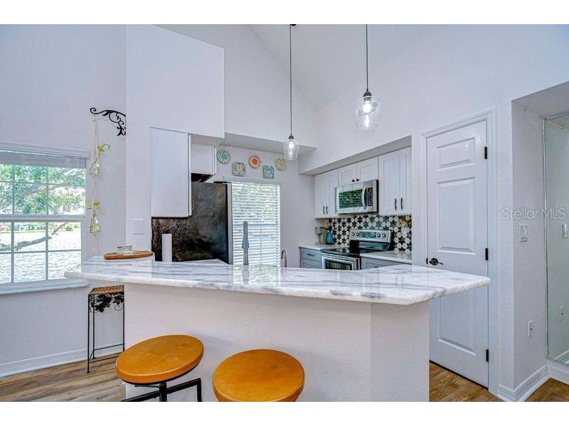 9304 Lake Chase Island Way Tampa FL 33626 TB8378688 image11