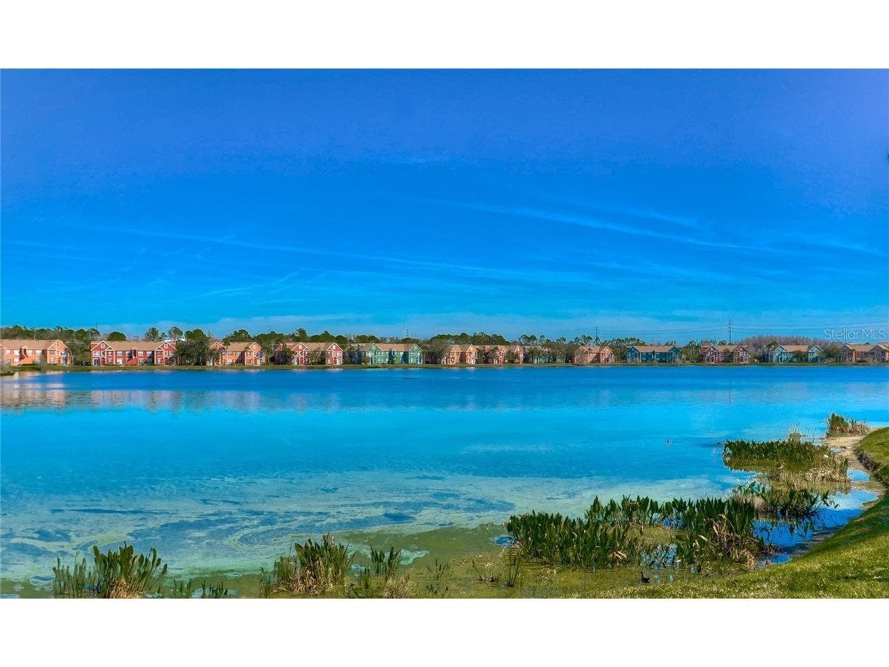 9304 Lake Chase Island Way Tampa FL 33626 TB8378688 image56