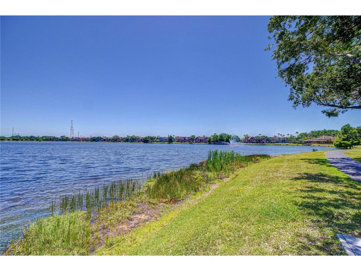9304 Lake Chase Island Way Tampa FL 33626 TB8378688 image7
