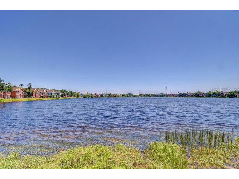 9304 Lake Chase Island Way Tampa FL 33626 TB8378688 image8