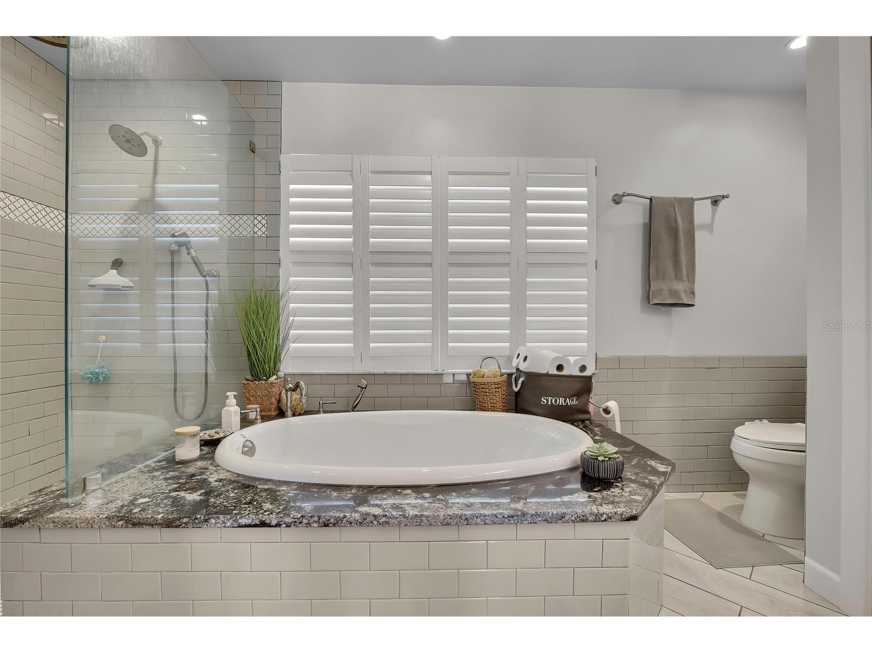 9304 Rockrose Drive Tampa FL 33647 TB8501968 image24