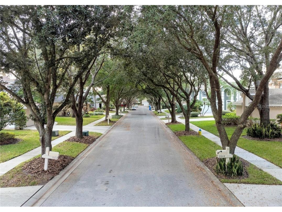 9305 Knightsbridge Court Tampa FL 33647 TB8446528 image30