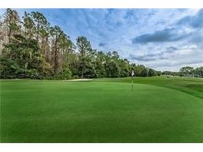 9305 Knightsbridge Court Tampa FL 33647 TB8446528 image38