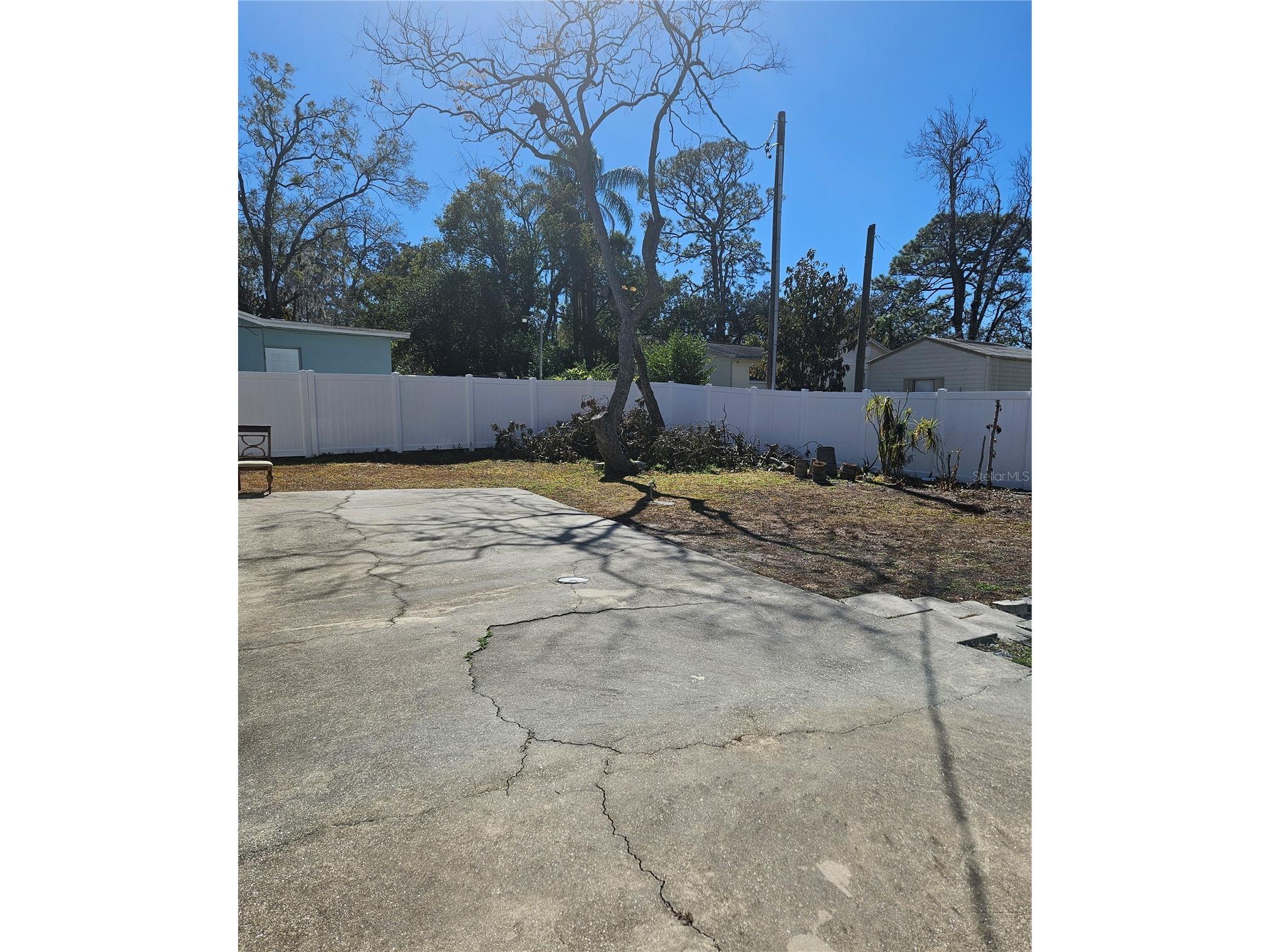 9306 Forest Hills Drive Tampa FL 33612 TB8474565 image16