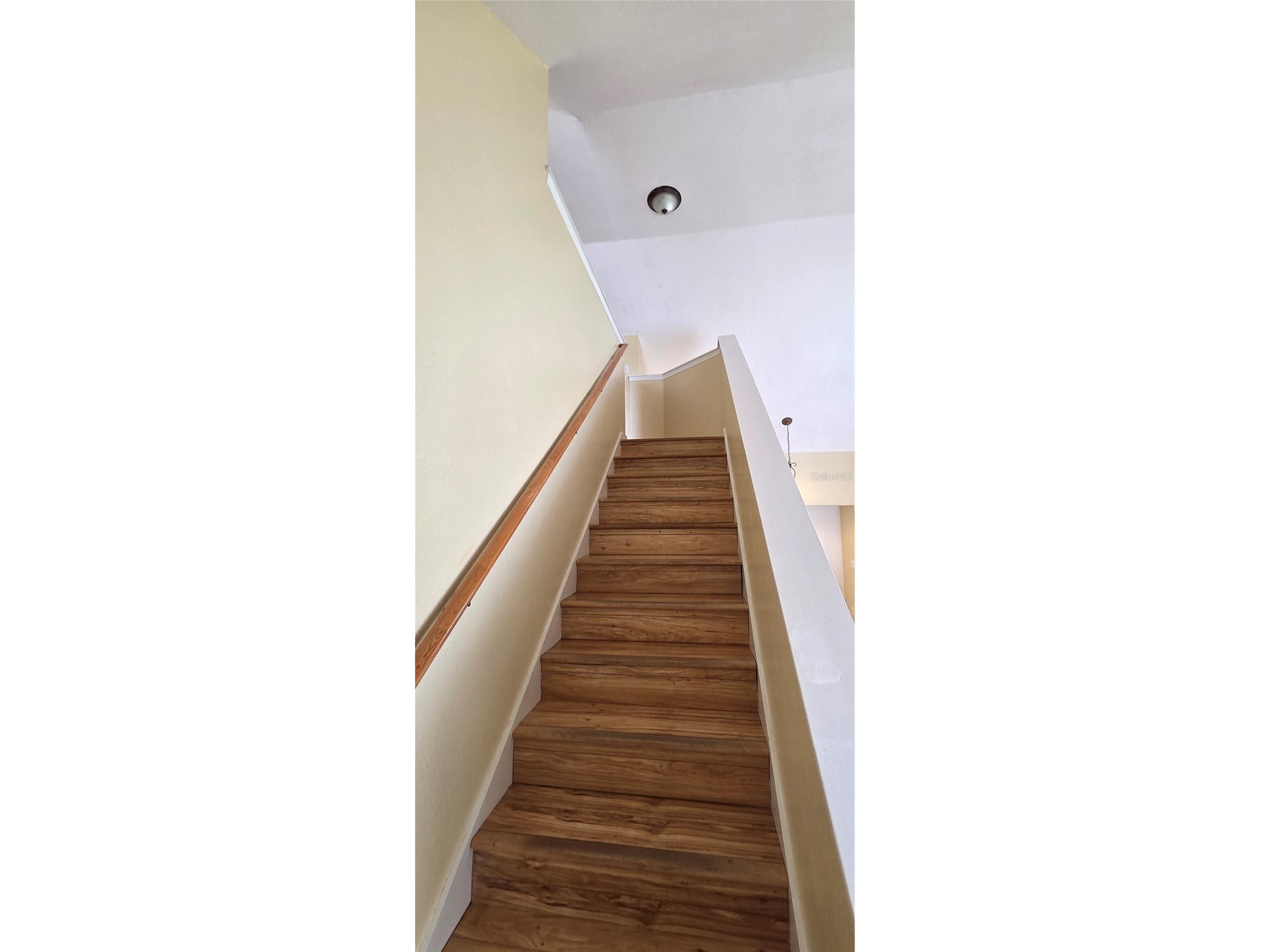 9306 Lake Chase Island Way Tampa FL 33626 TB8524060 image34