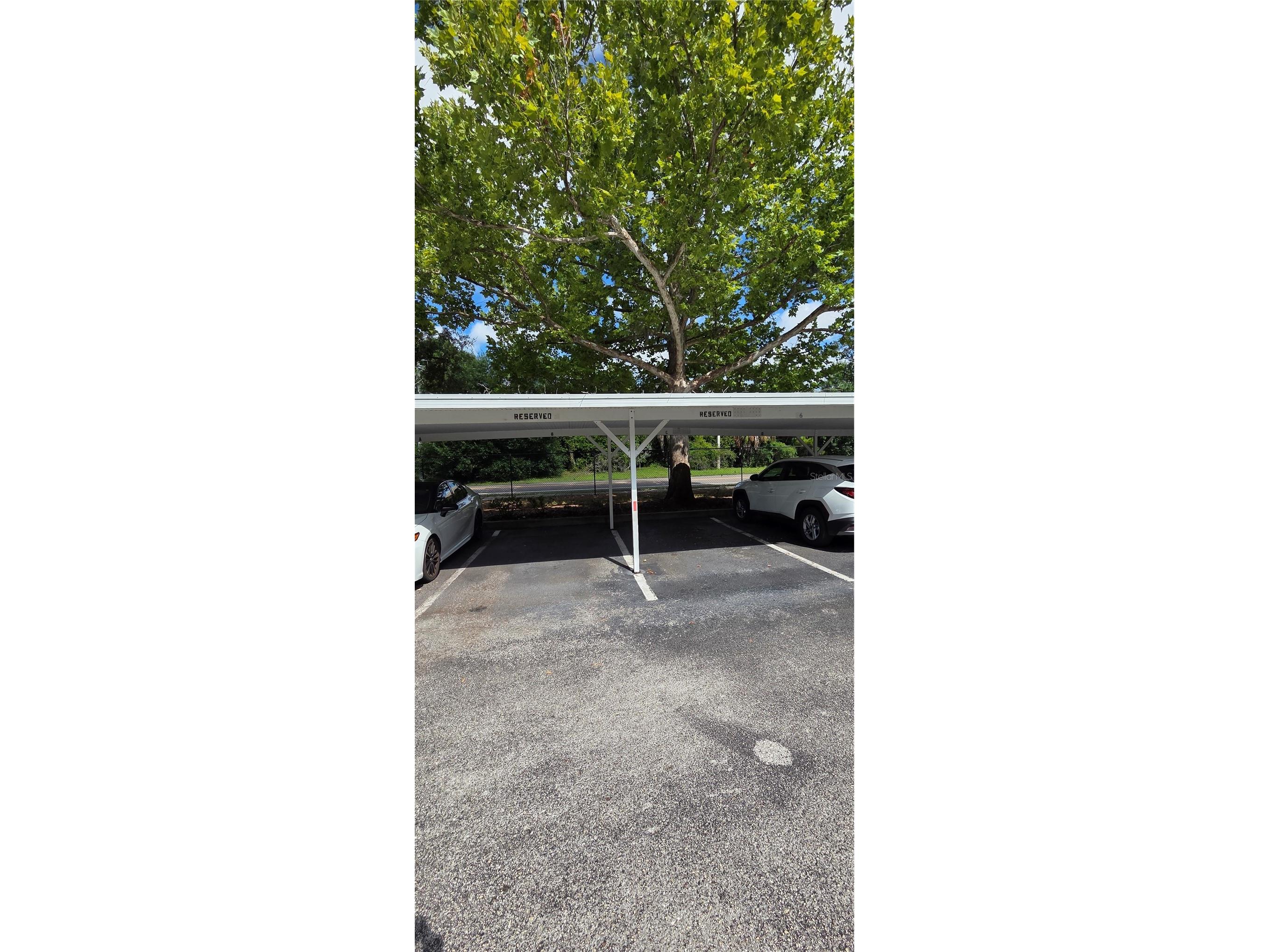 9306 Lake Chase Island Way Tampa FL 33626 TB8524060 image4