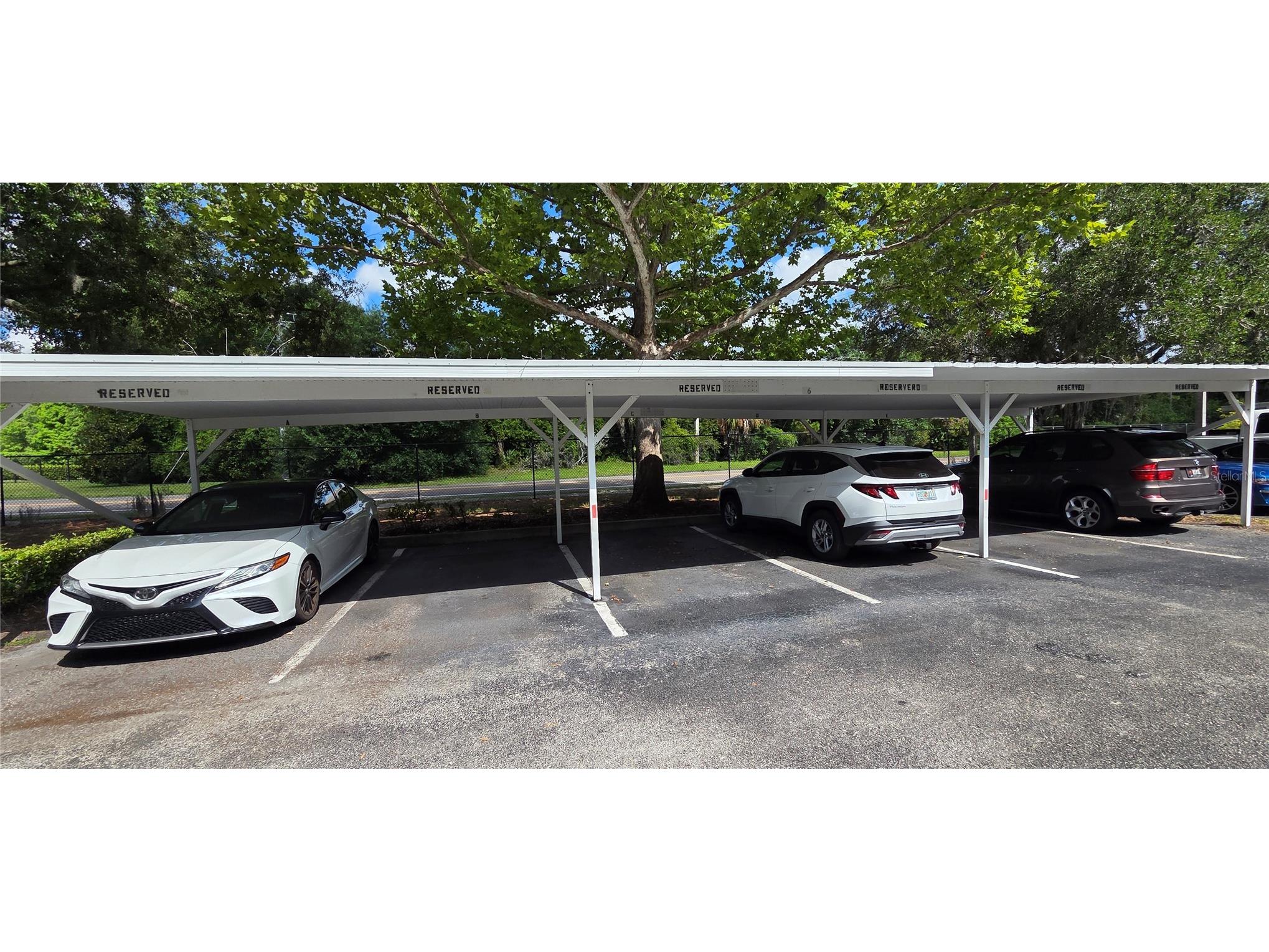 9306 Lake Chase Island Way Tampa FL 33626 TB8524060 image5