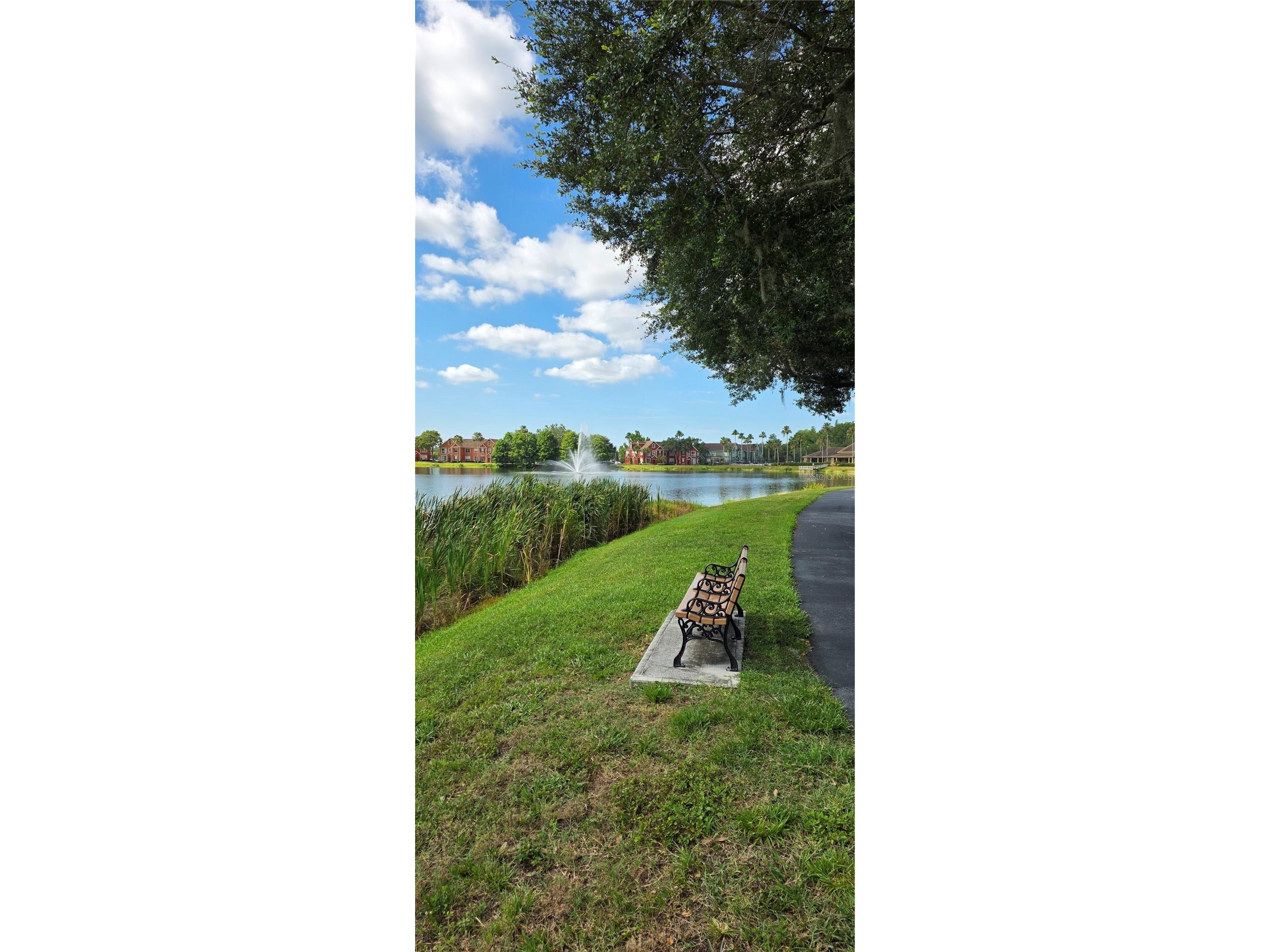 9306 Lake Chase Island Way Tampa FL 33626 TB8524060 image6