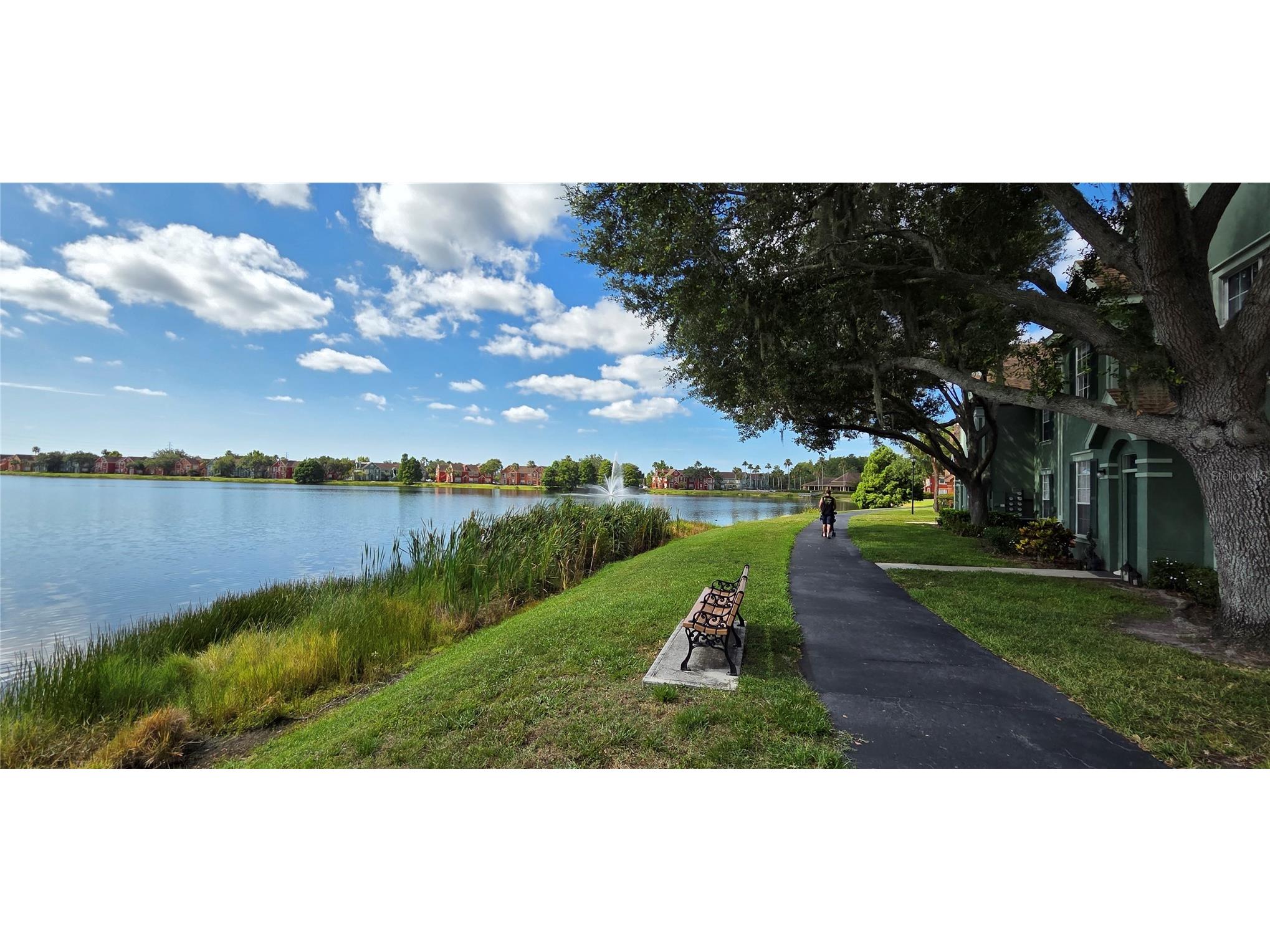 9306 Lake Chase Island Way Tampa FL 33626 TB8524060 image8