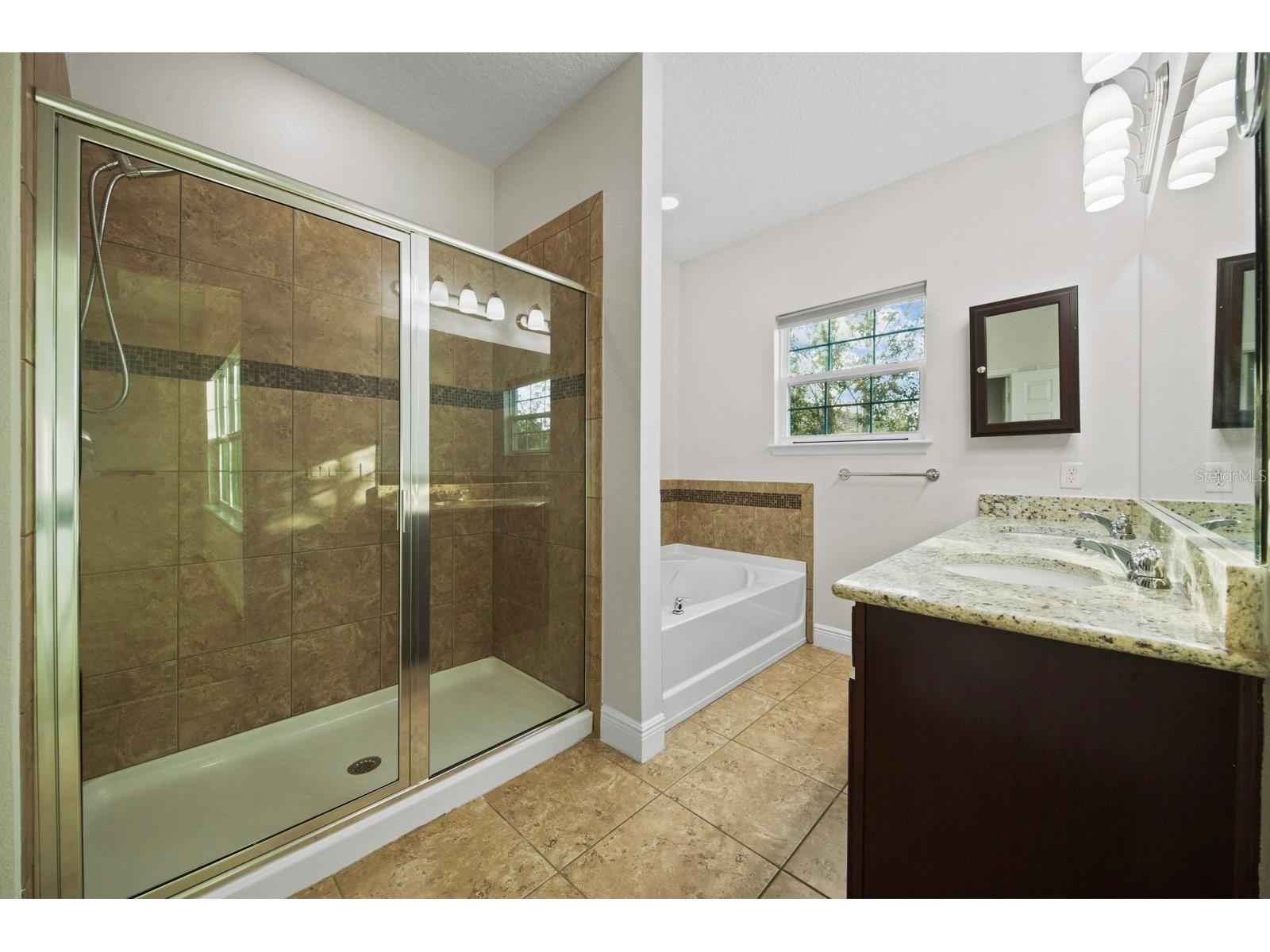 9306 Mira Valle Lane Winter Garden FL 34787 O6422747 image32
