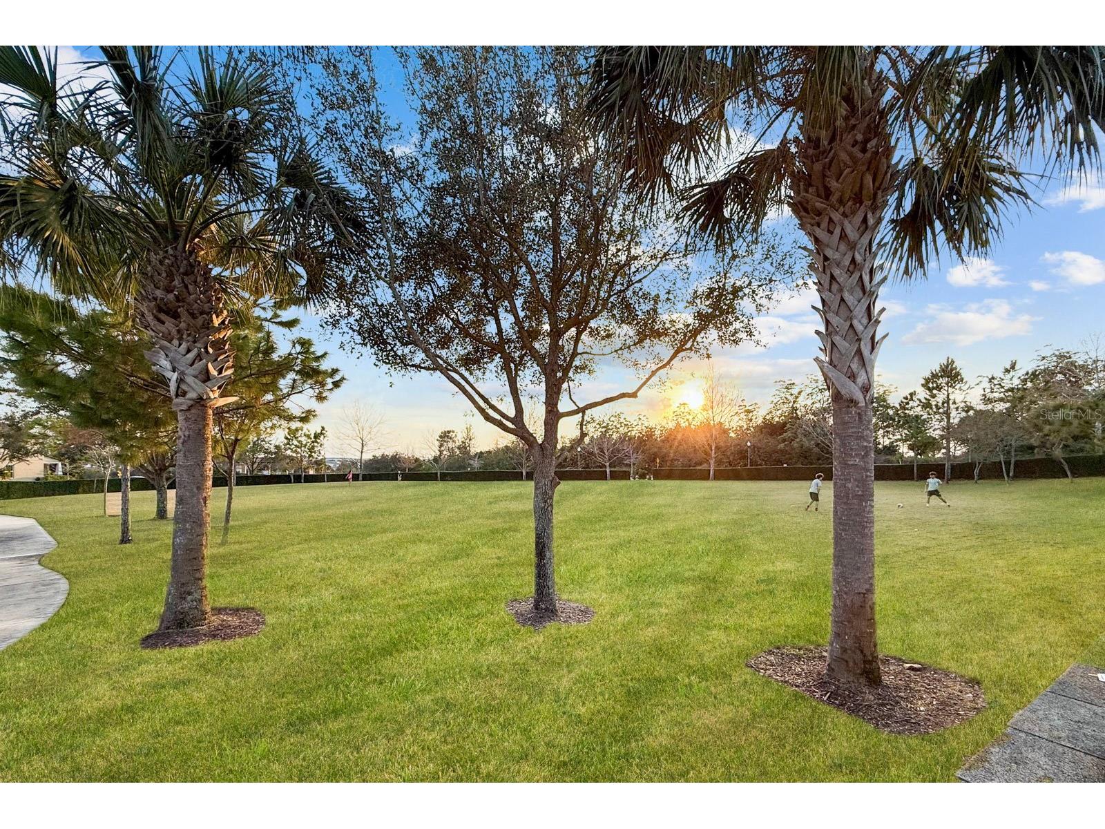 9306 Mira Valle Lane Winter Garden FL 34787 O6422747 image55