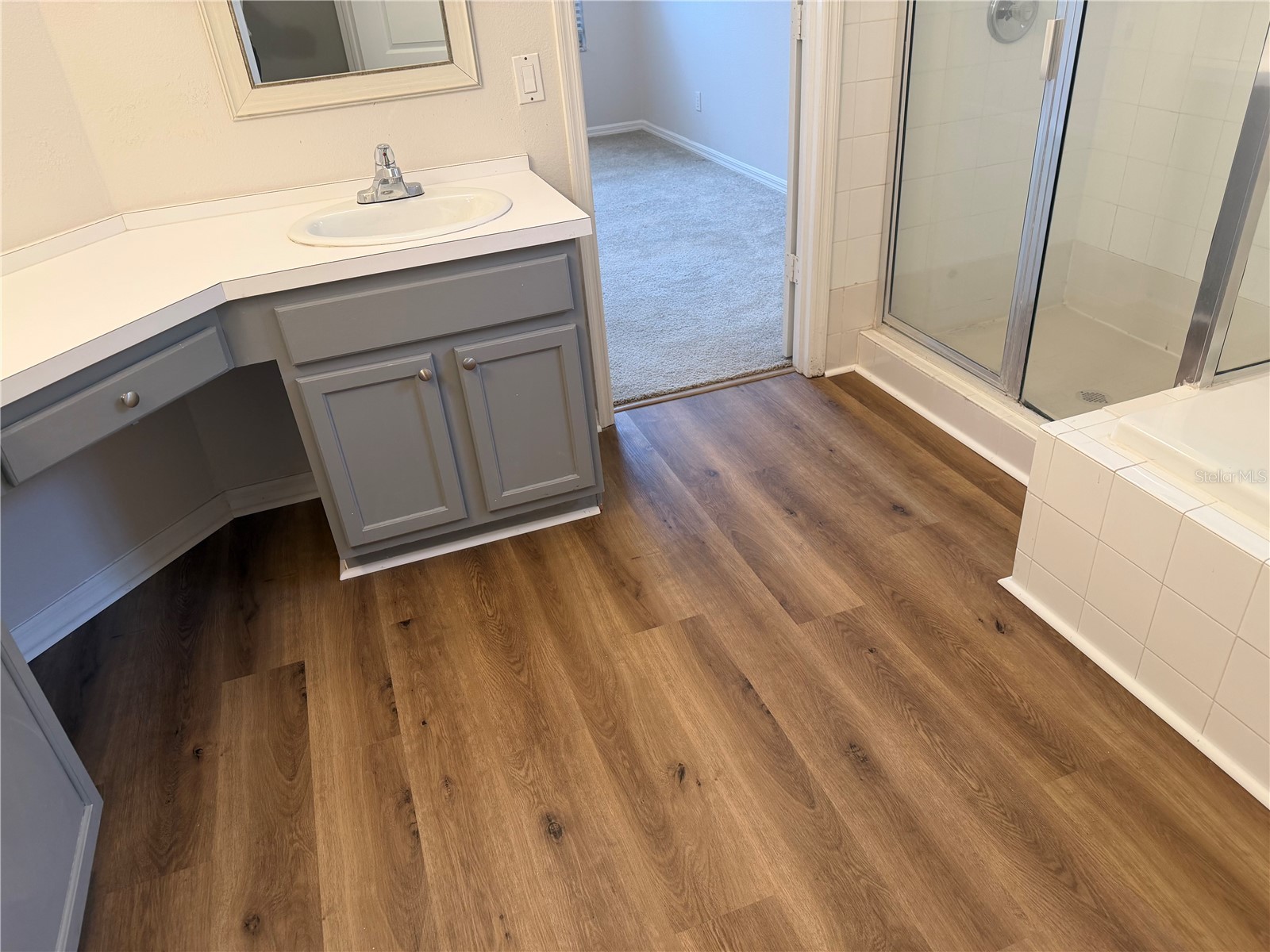 9307 Huntington Park Way Tampa FL 33647 TB8482080 image10