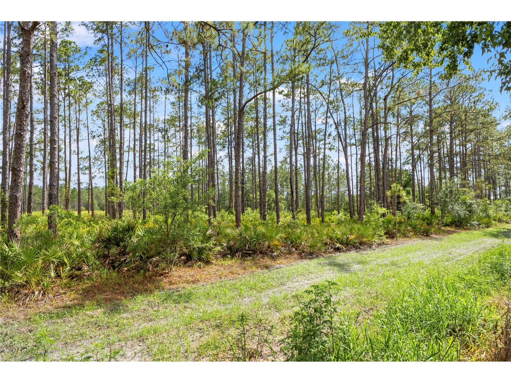 9307 Poplar Creek Court Tampa FL 33647 TB8507825 image52