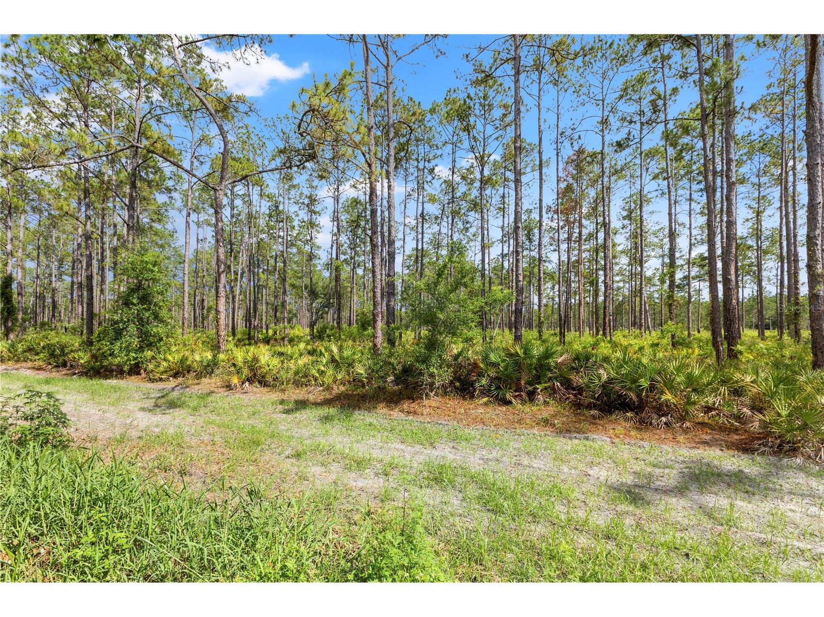 9307 Poplar Creek Court Tampa FL 33647 TB8507825 image54