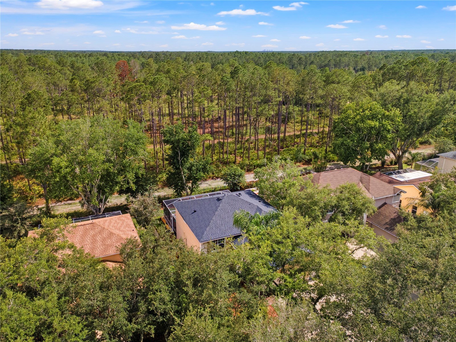 9307 Poplar Creek Court Tampa FL 33647 TB8507825 image59