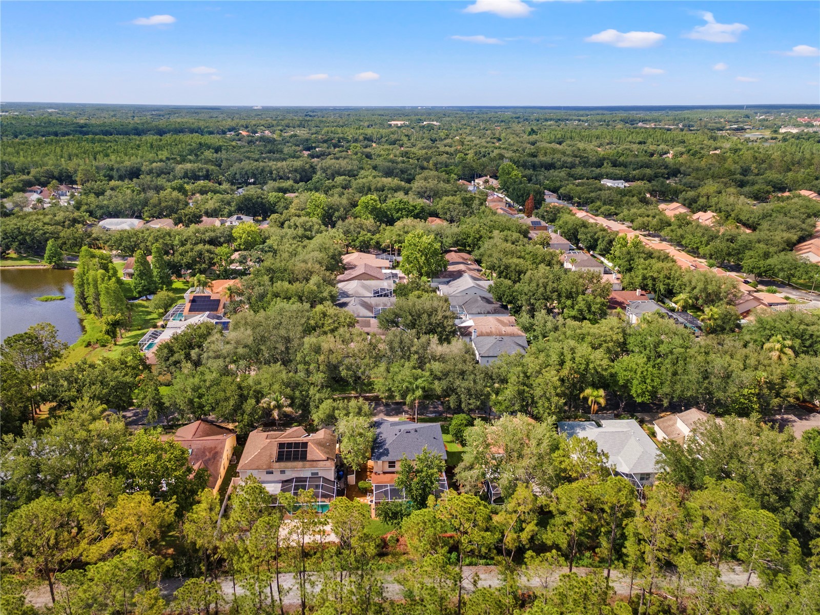 9307 Poplar Creek Court Tampa FL 33647 TB8507825 image61
