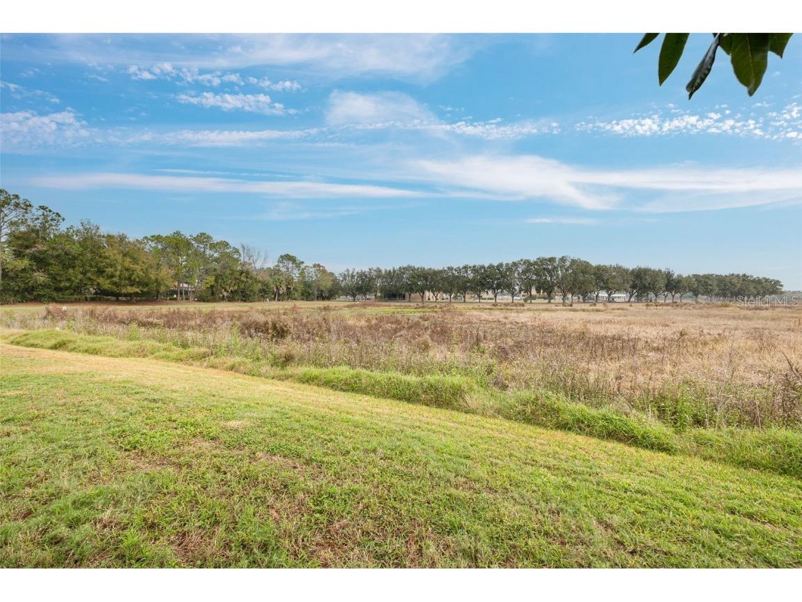 9308 Huntington Park Way Tampa FL 33647 TB8459759 image26