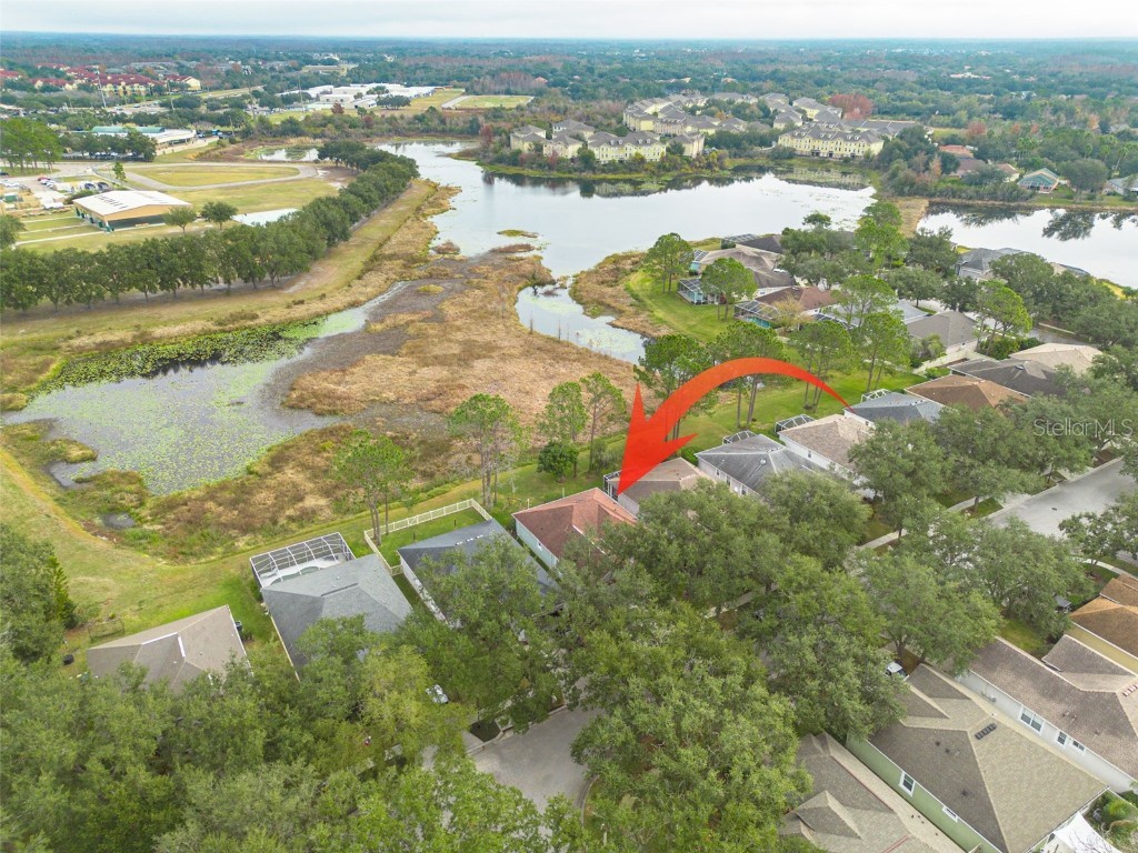 9308 Huntington Park Way Tampa FL 33647 TB8459759 image32