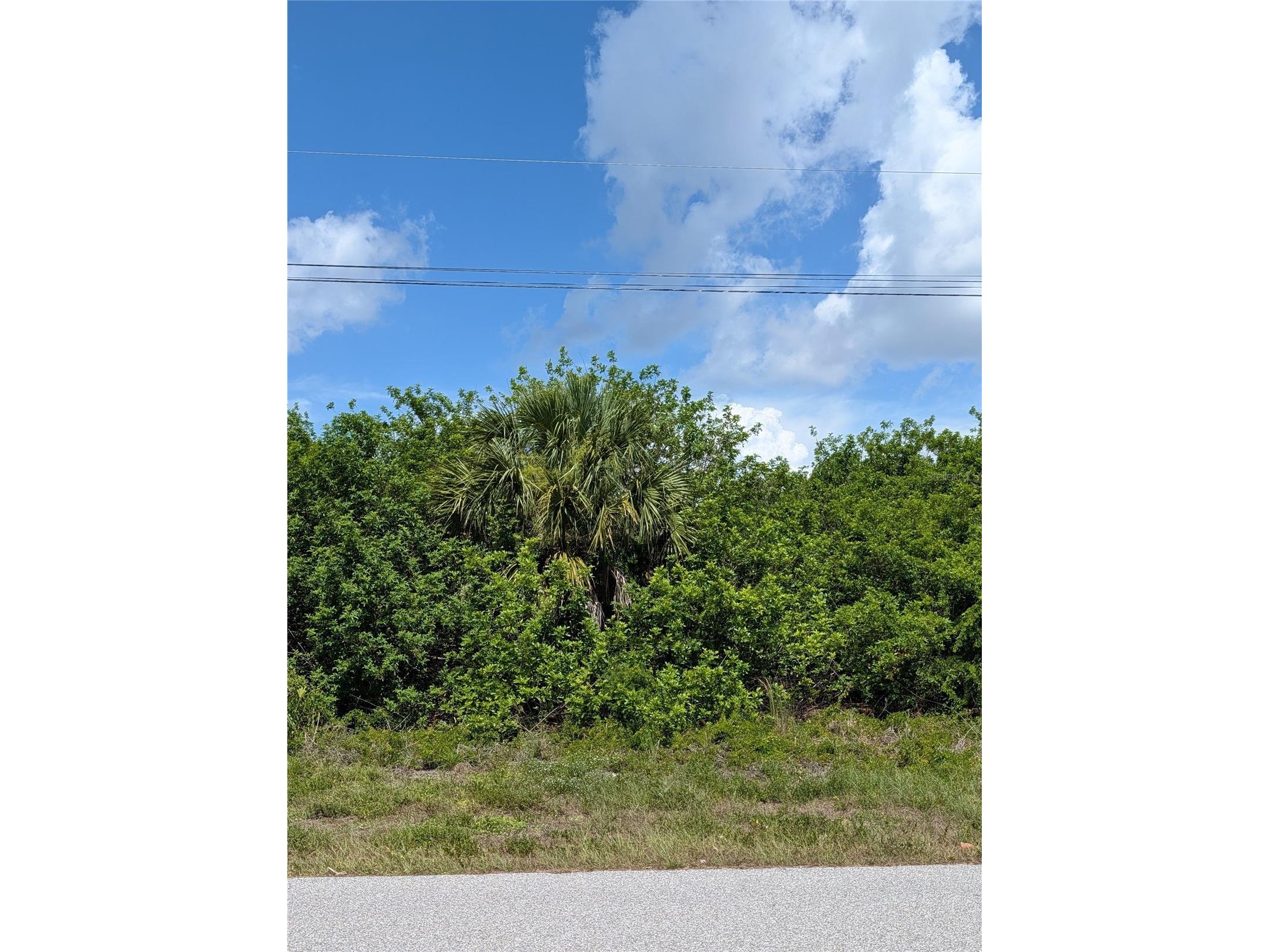 9309 Galaxie Circle Port Charlotte FL 33981 D6147928 image1