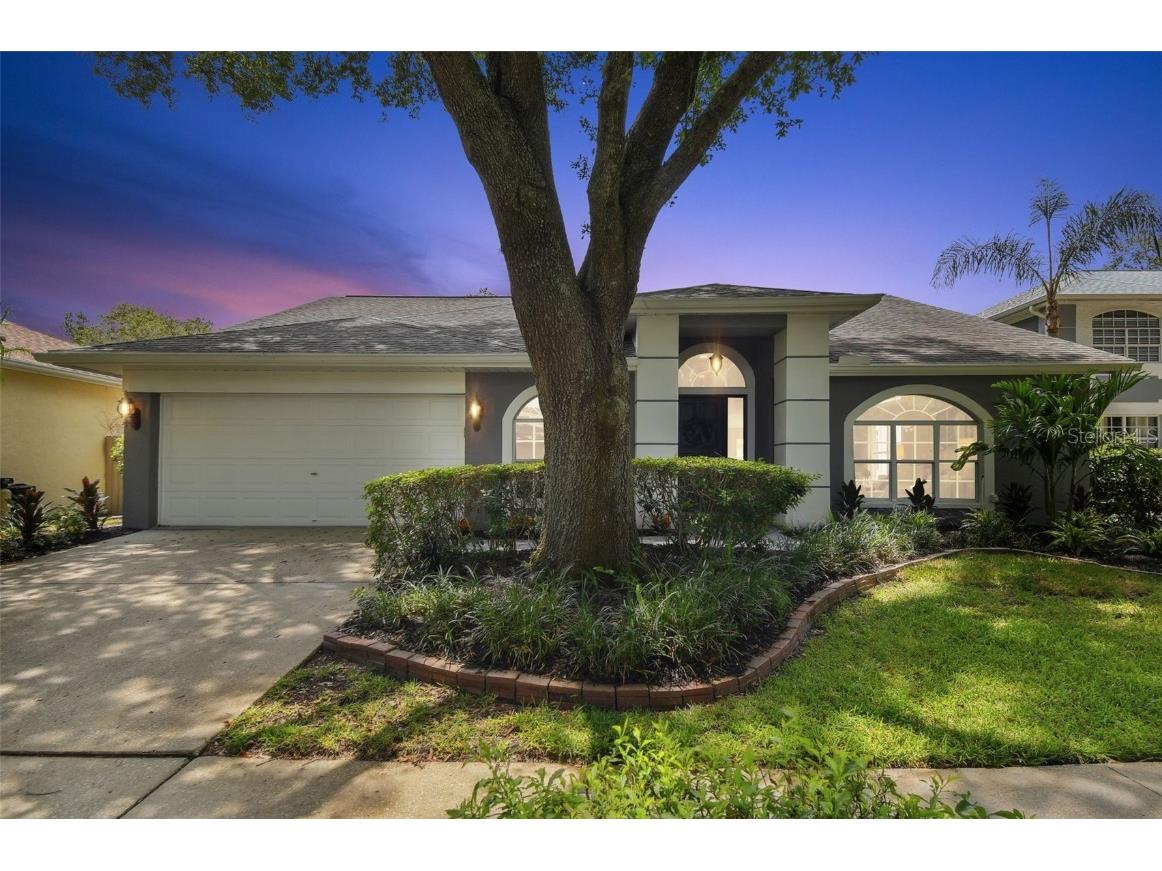 9309 Hampshire Park Drive Tampa FL 33647 T3446494 image1