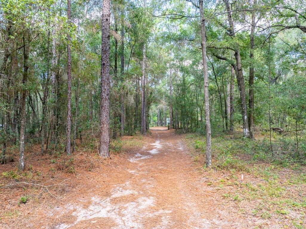 9309 Happy Trl Brooksville FL 34601 O6349574 image5