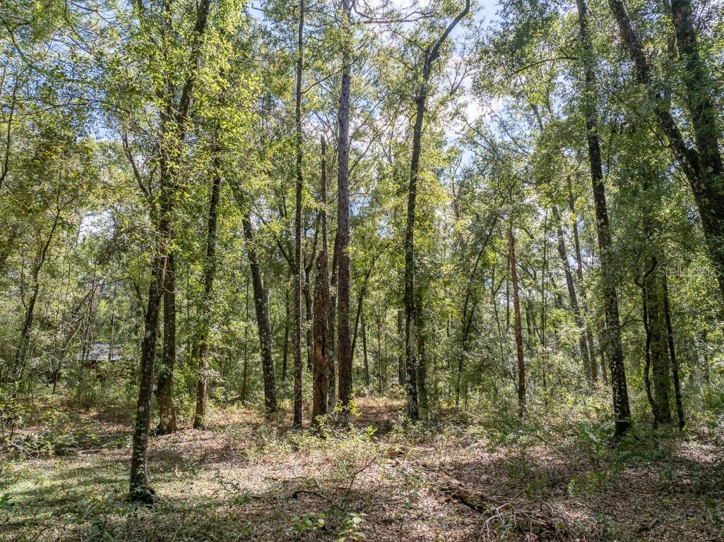 9309 Happy Trl Brooksville FL 34601 O6349574 image51