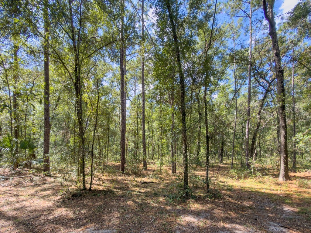 9309 Happy Trl Brooksville FL 34601 O6349574 image52