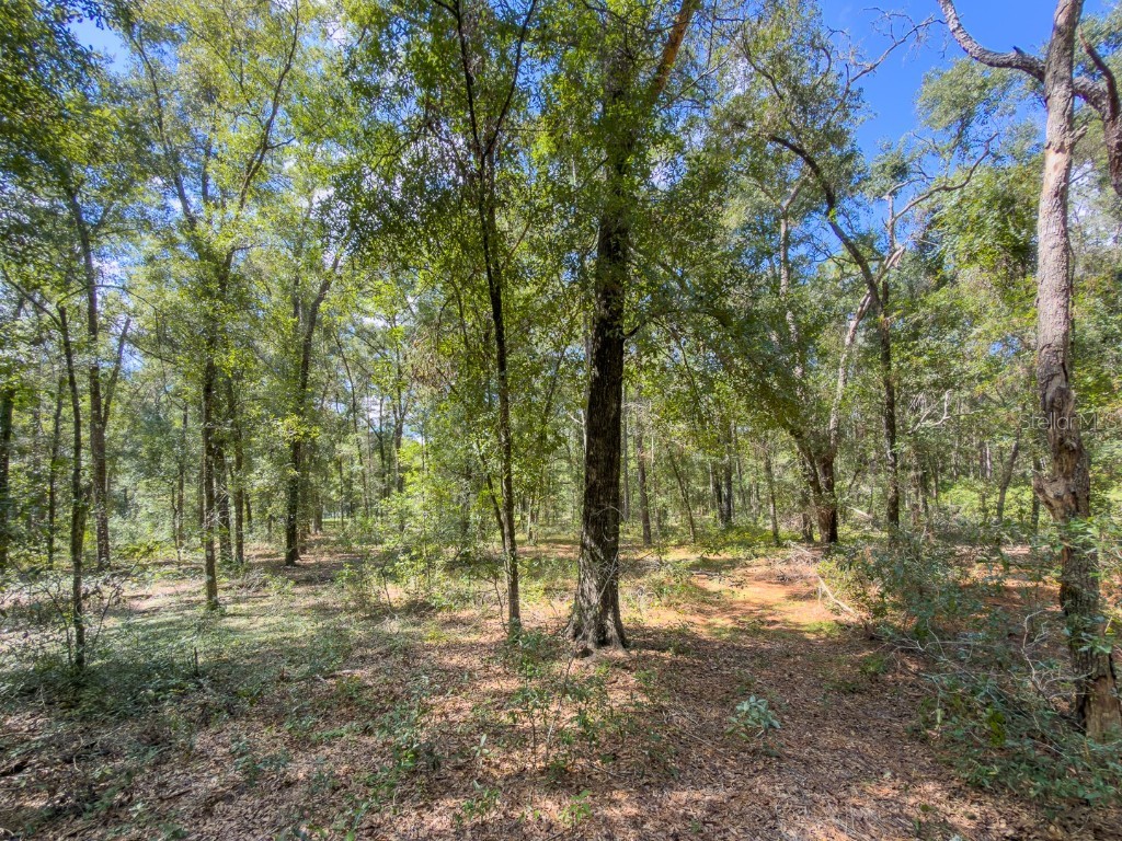 9309 Happy Trl Brooksville FL 34601 O6349574 image53