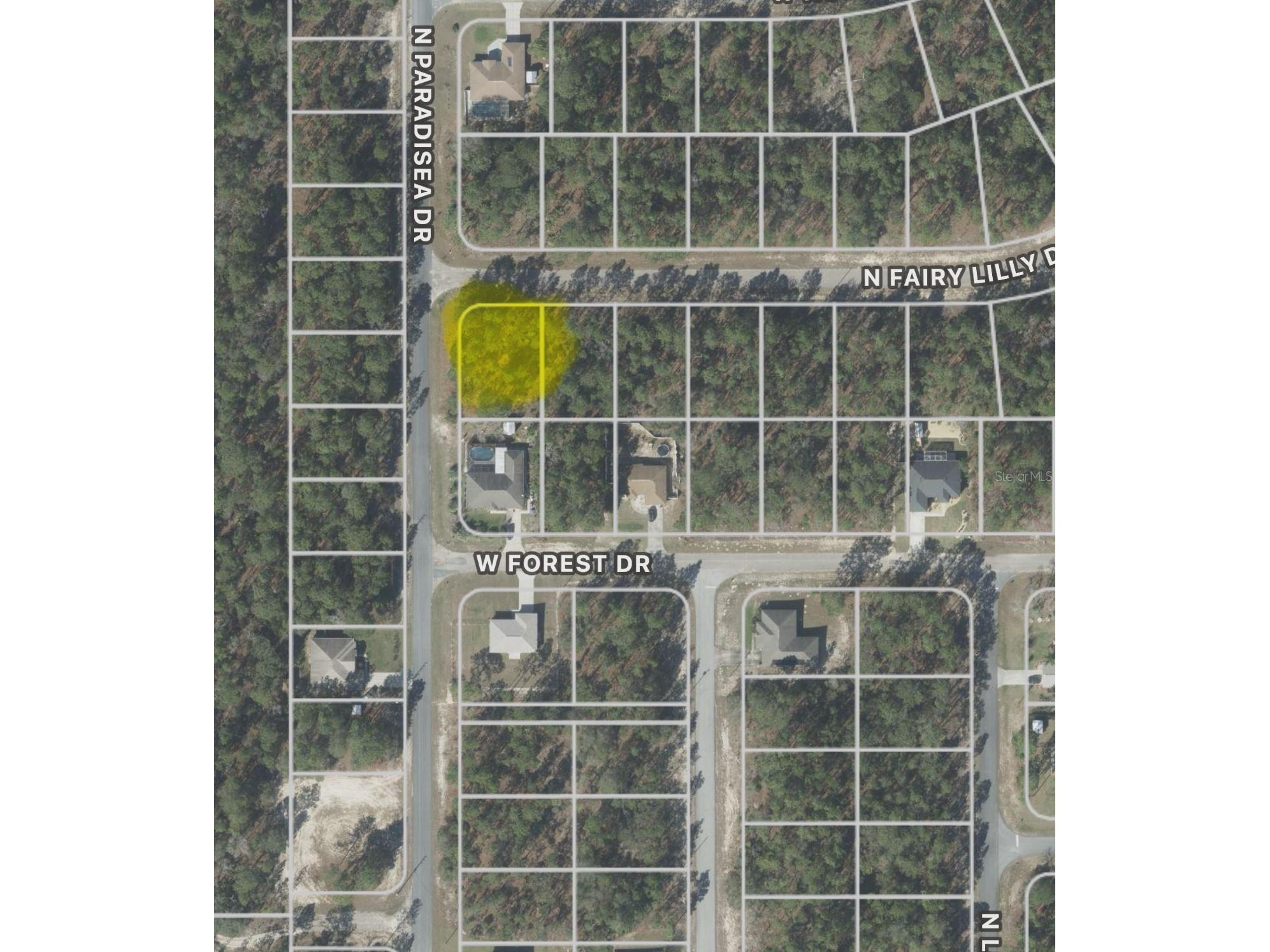 9309 N Fairy Lilly Drive Citrus Springs FL 34433 O6310199 image1