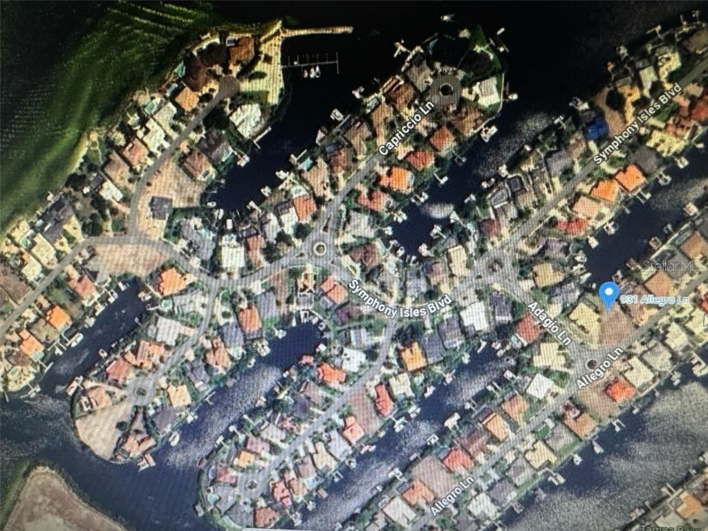 931 Allegro Lane Apollo Beach FL 33572 O6287711 image2