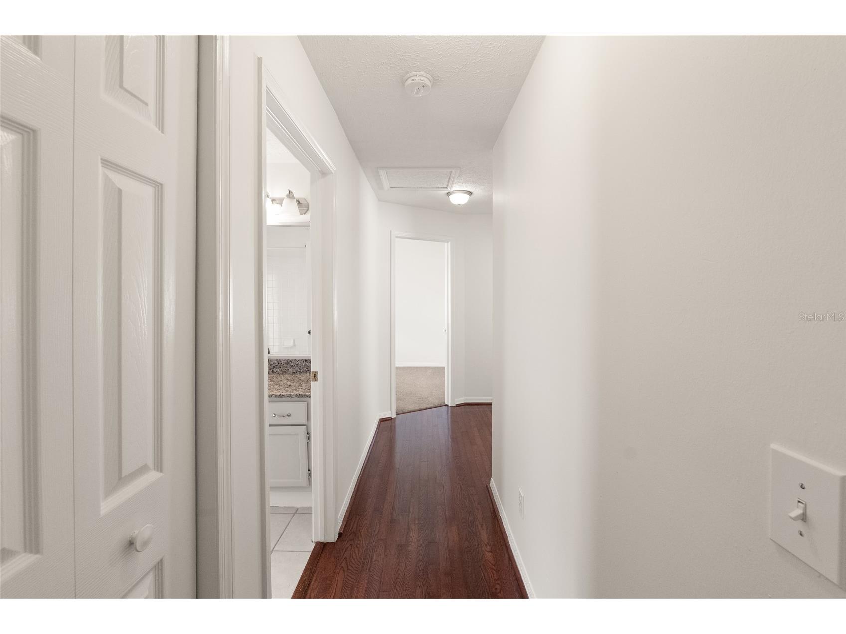 931 Balsamina Drive Brandon FL 33510 TB8491881 image14