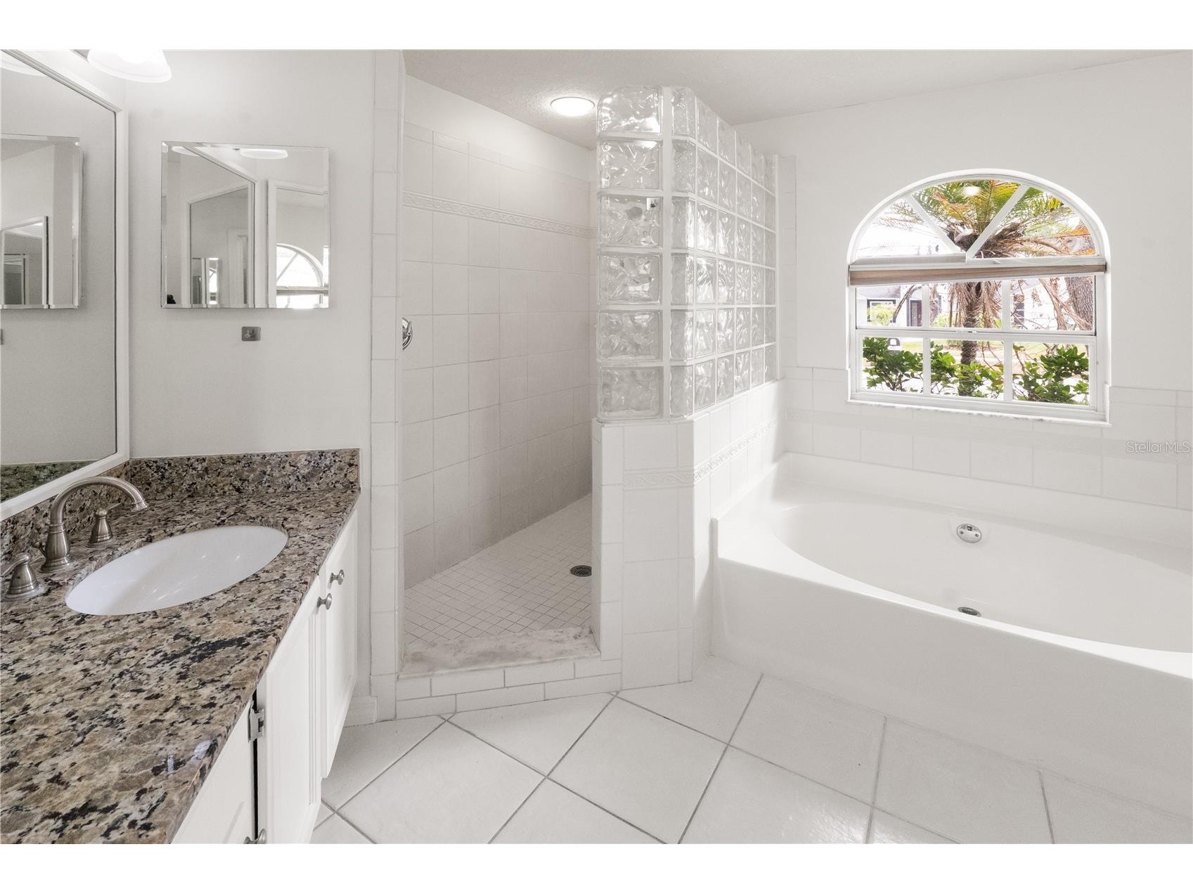 931 Balsamina Drive Brandon FL 33510 TB8491881 image17