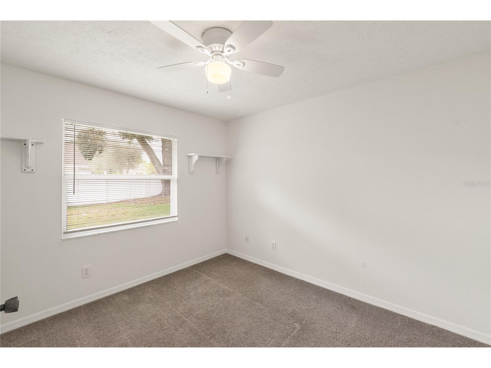 931 Balsamina Drive Brandon FL 33510 TB8491881 image20