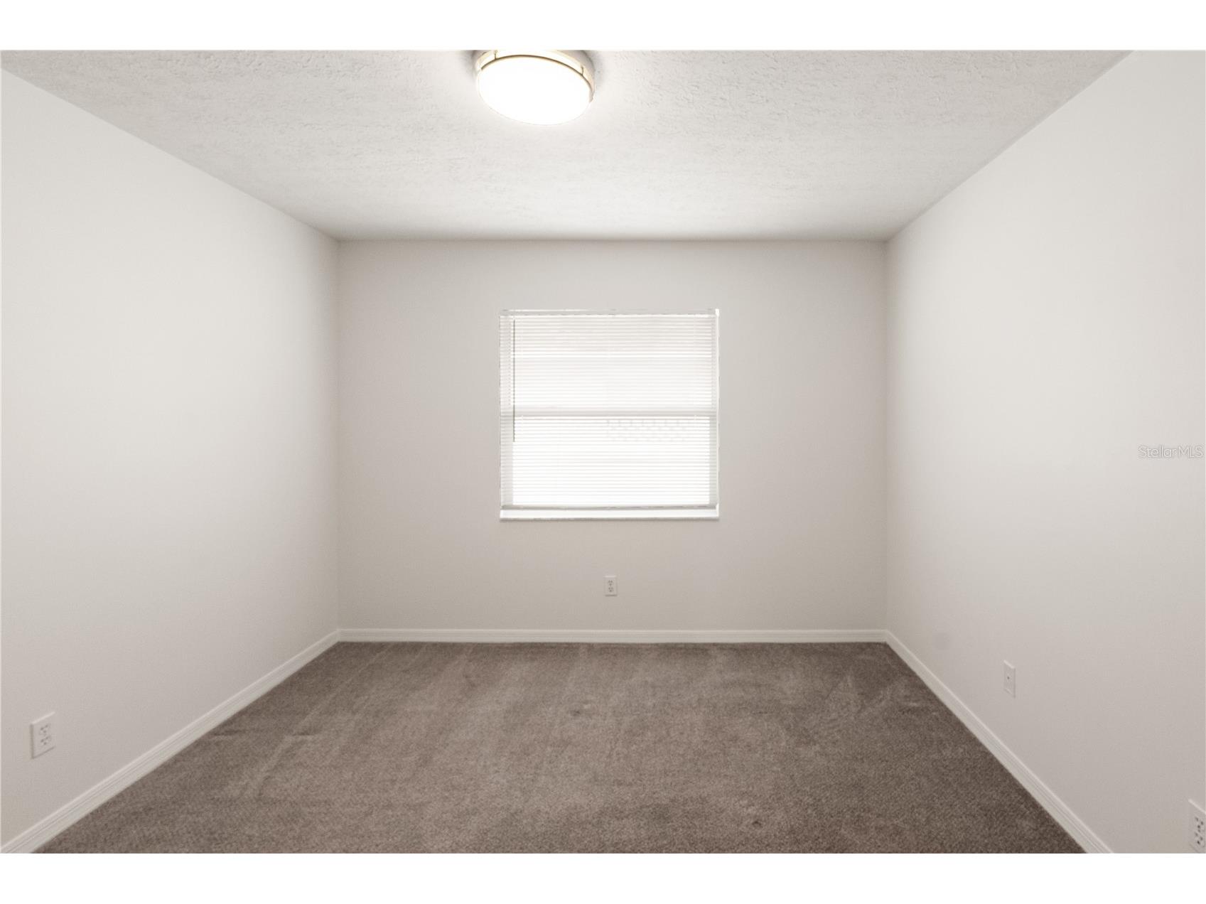 931 Balsamina Drive Brandon FL 33510 TB8491881 image23