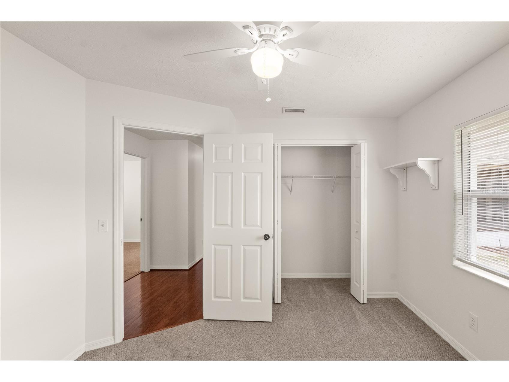 931 Balsamina Drive Brandon FL 33510 TB8491881 image24