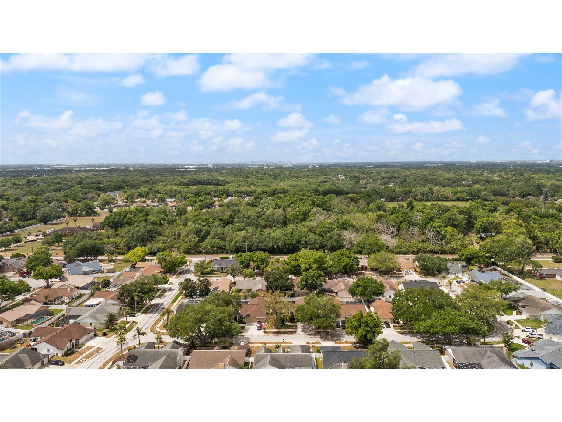 931 Balsamina Drive Brandon FL 33510 TB8491881 image36
