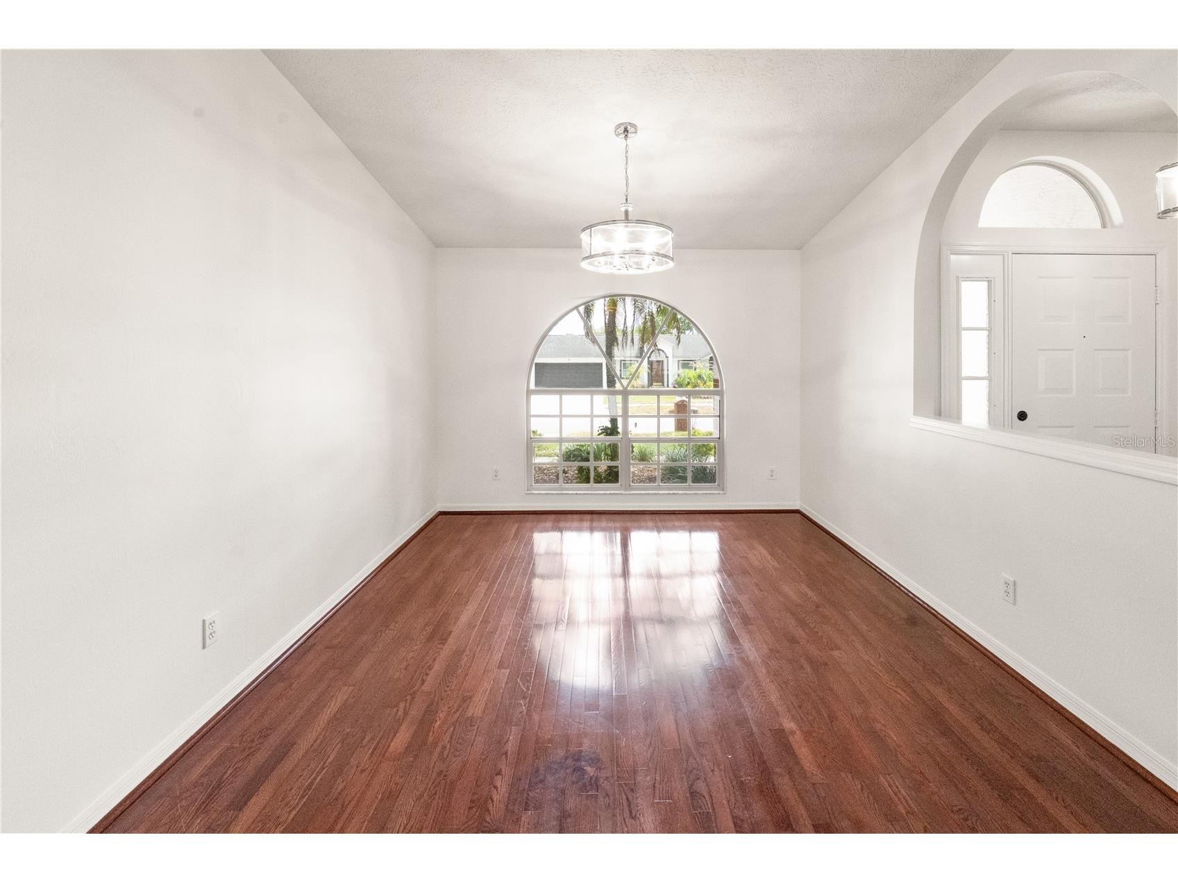 931 Balsamina Drive Brandon FL 33510 TB8491881 image7