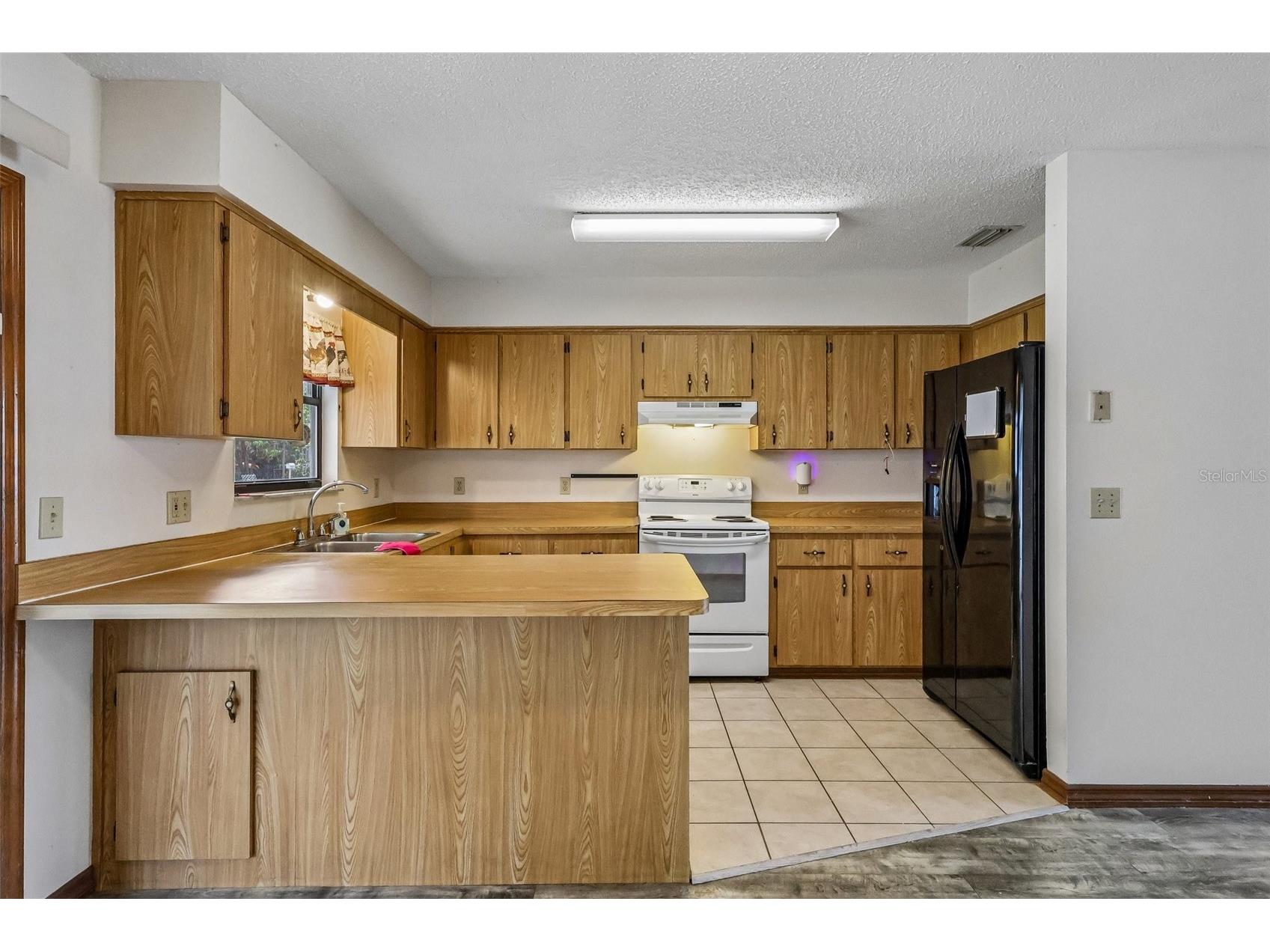 931 Cr 457a Lake Panasoffkee FL 33538 G5112491 image13