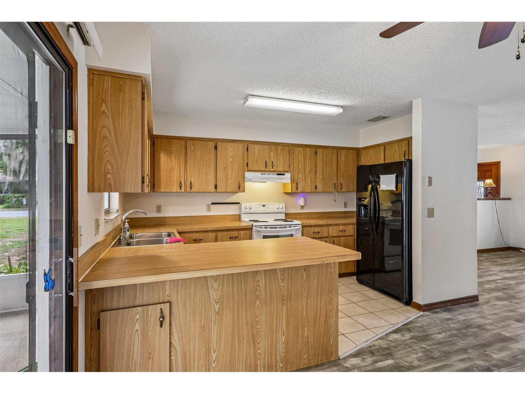 931 Cr 457a Lake Panasoffkee FL 33538 G5112491 image14