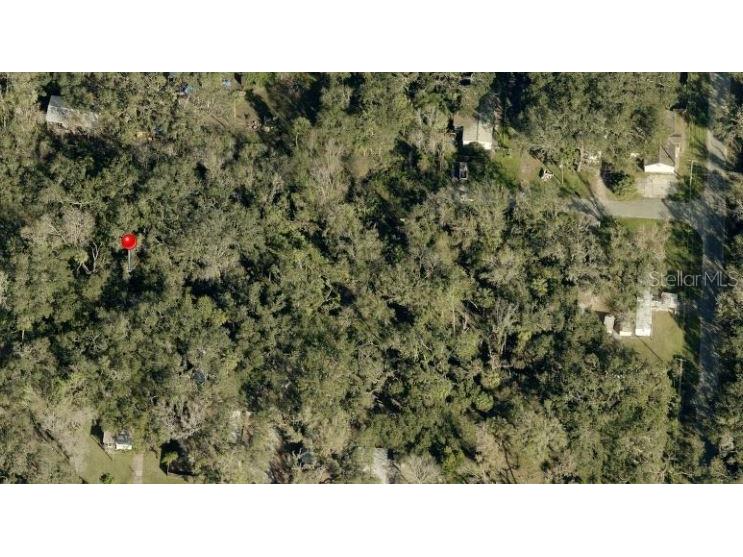 931 Estelle Avenue Brandon FL 33511 TB8405881 image2